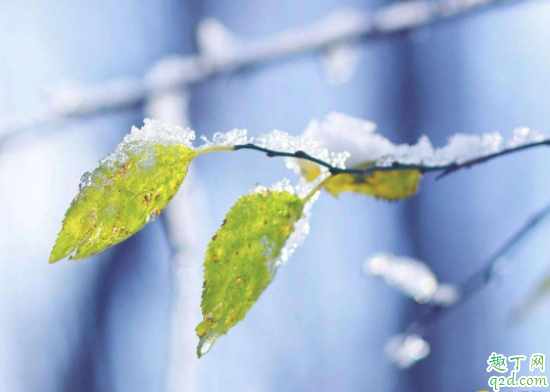 2020小雪能不能领结婚证 2020小雪可以结婚摆酒席吗