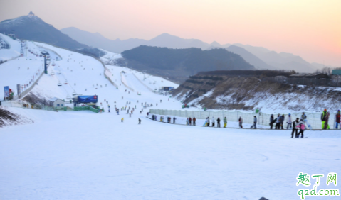 2020年四九是哪一天 2020四九天是从什么时候开始