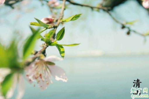 2020年四月四号是什么节日 2020年4月4日结婚吉日吗