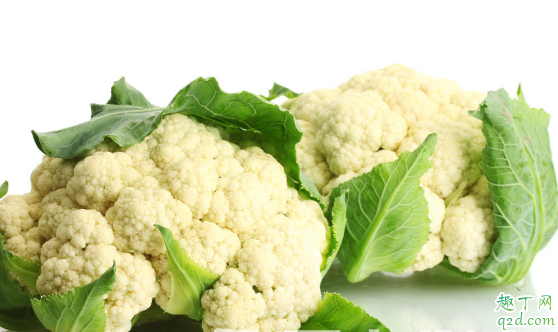 什么季节种花菜成活率高 种植花菜哪些点是要注意的