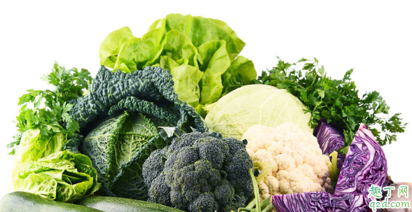 什么季节种花菜成活率高 种植花菜哪些点是要注意的