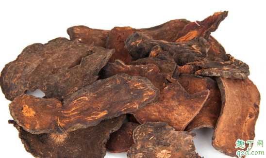 何首乌冬季怎么种植 何首乌的种子啥时候采收合适