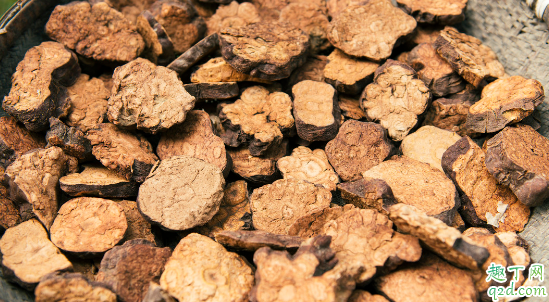 何首乌冬季怎么种植 何首乌的种子啥时候采收合适