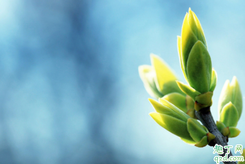 2021年立春是几九的第几天 2021年立春可以结婚嫁娶吗