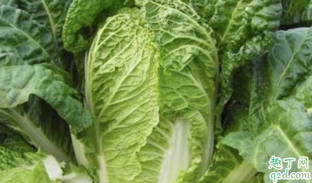 白菜十月份几天浇一次水合适 十月份白菜浇水技巧