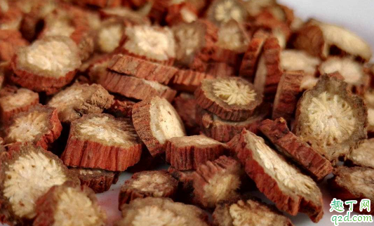 种植丹参的风险大吗 丹参怎么种产量高