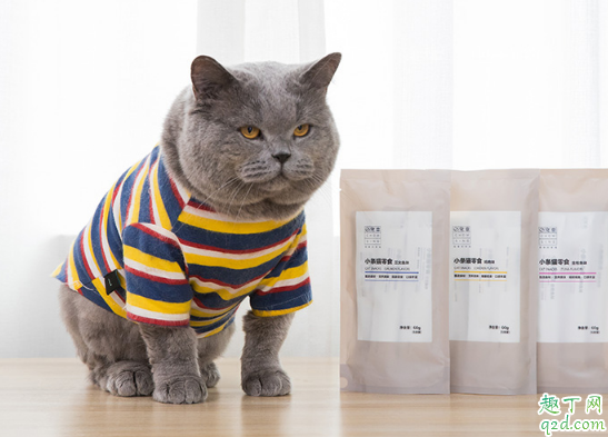 小猫能吃冷藏的罐头吗 ?猫罐头能放微波炉里加热吗