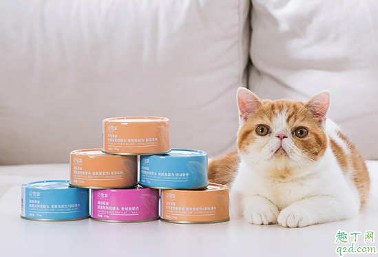 小猫能吃冷藏的罐头吗 ?猫罐头能放微波炉里加热吗