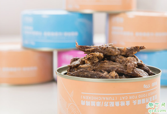 猫咪有必要吃罐头吗 猫猫天天吃罐头好不好