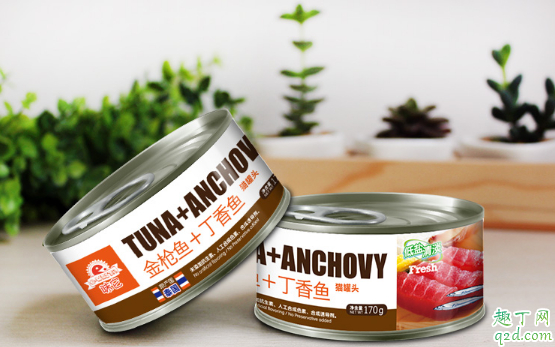 未拆封的过期罐头能给猫吃吗 怎么看猫罐头是不是过期了