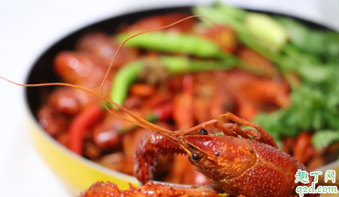 现在养殖小龙虾挖塘时间合适吗 虾塘打井水的最佳时间