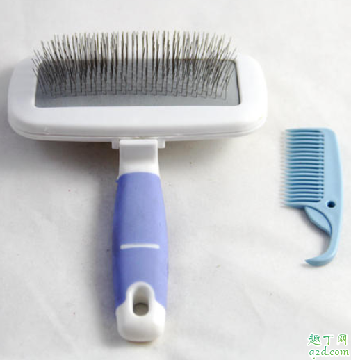 狗狗毛打结梳不开怎么办 金毛毛发打结是什么原因