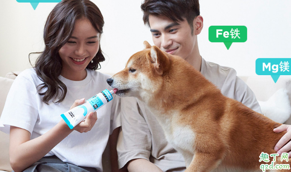 狗狗卫仕营养膏吃多了会不会上火 卫仕营养膏怎么辨真假