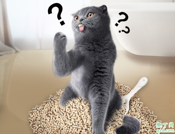 猫砂长毛了还可以用不 买的猫砂怎么保存