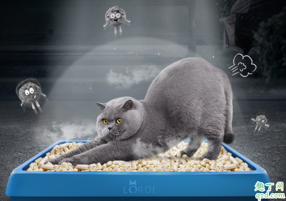 猫砂长毛了还可以用不 买的猫砂怎么保存