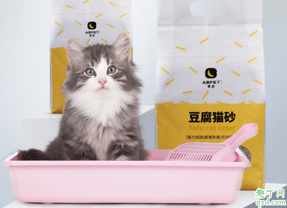 猫砂要不要定期更换 猫砂一般多久更换一次