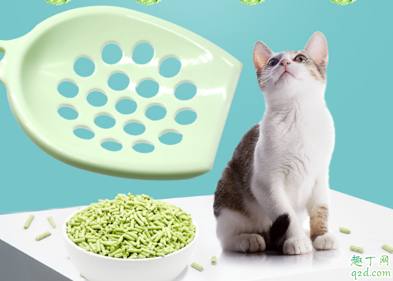 猫砂要不要定期更换 猫砂一般多久更换一次