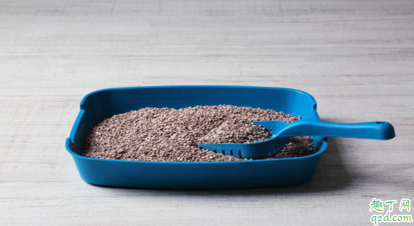 猫砂能不能用来养花 怎么用猫砂才最节省