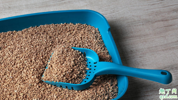 猫砂能不能用来养花 怎么用猫砂才最节省