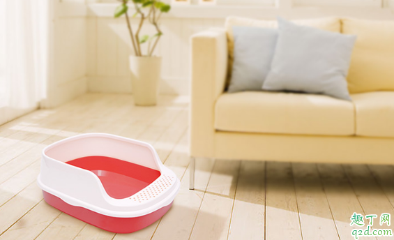 猫砂盆需要天天清洗吗 小猫用什么猫砂盆比较舒服
