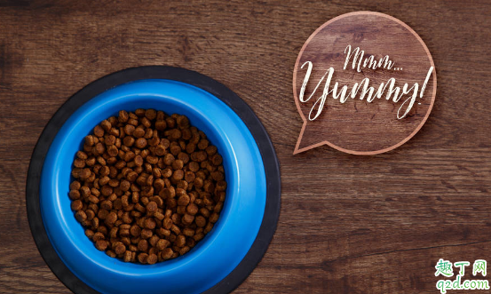 狗粮能从网上买吗 在哪里买狗粮比较靠谱