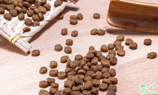 狗粮能从网上买吗 在哪里买狗粮比较靠谱