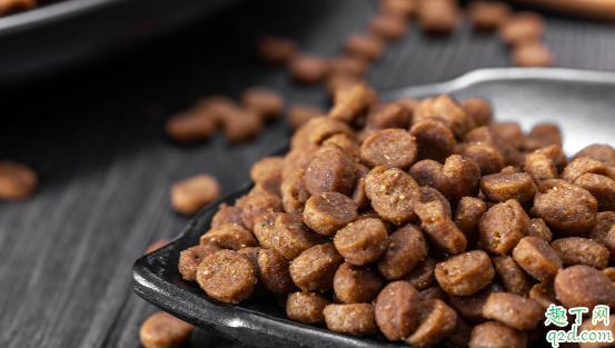 狗粮能从网上买吗 在哪里买狗粮比较靠谱