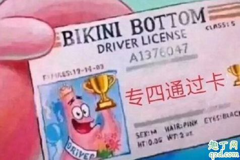 2020英语专四专八考试时间延期了吗 英语专四专八考试时间调整公告