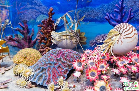 北京自然博物馆有停车场吗 北京自然博物馆有几层每层是什么