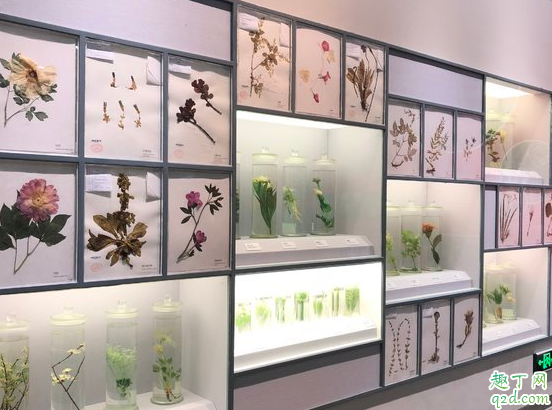 北京自然博物馆有停车场吗 北京自然博物馆有几层每层是什么