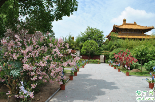横店影视城门票是不是一定要身份证 横店影视城门票有免费的吗