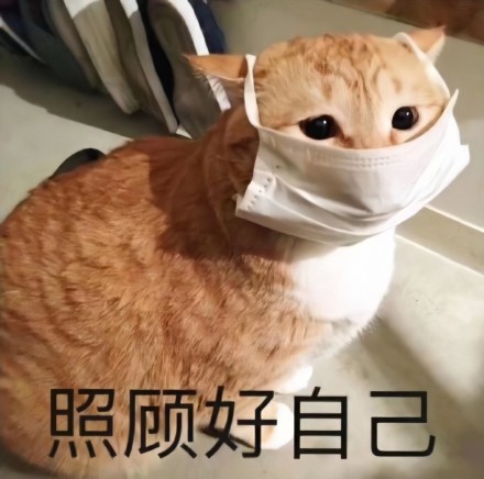 口罩头像怎么P 口罩头像生成器教程2020