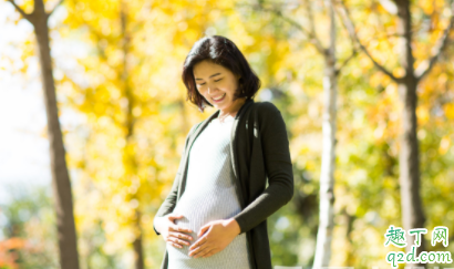 过年怀孕好不好 过年怀孕要注意什么