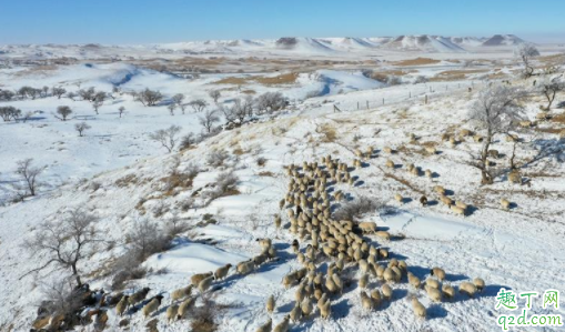 锡林郭勒大草原什么时候去最好 锡林郭勒大草原要钱吗
