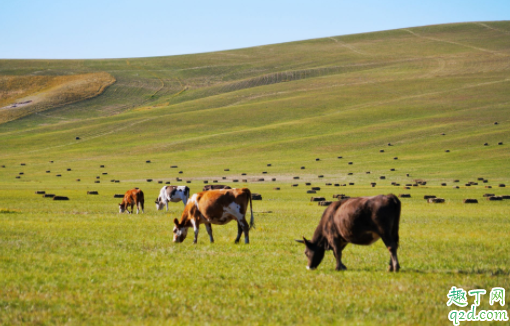 锡林郭勒大草原什么时候去最好 锡林郭勒大草原要钱吗