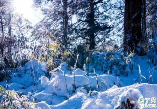 瓦屋山旅游景区门票是多少 冬天去瓦屋山旅游攻略