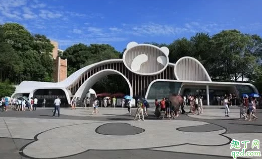 成都大熊猫基地门票在哪里买 成都大熊猫基地门票老人有优惠吗