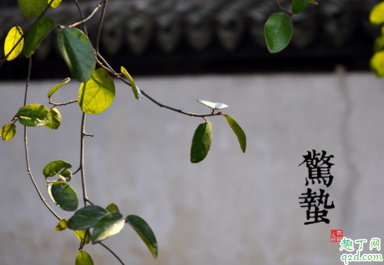 2021年几点几分惊蛰 2021年惊蛰适合结婚吗