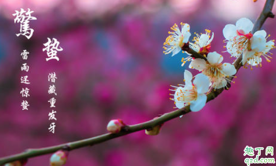 2021年几点几分惊蛰 2021年惊蛰适合结婚吗