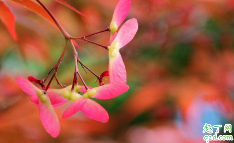 2021年春分时间几点 2021年春分搬家好吗