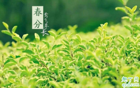 2021年春分时间几点 2021年春分搬家好吗