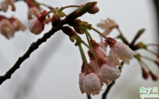 2021年什么时候春分 2021年春分可以结婚吗