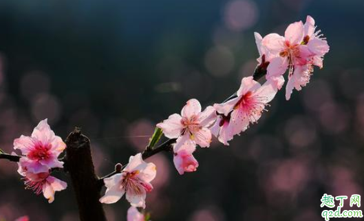 2021年什么时候春分 2021年春分可以结婚吗