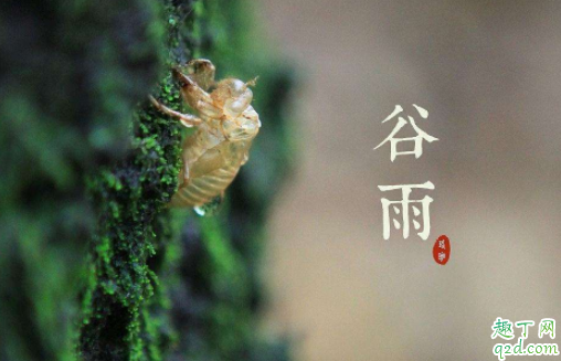2021年谷雨是几月几号 2021年谷雨节气几点开始