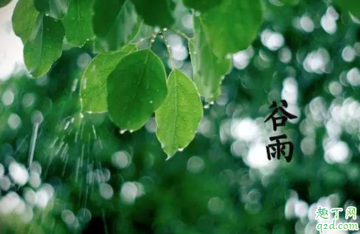2021年谷雨是几月几号 2021年谷雨节气几点开始