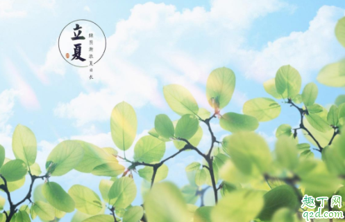 2021年什么时候立夏 2021年立夏是几点