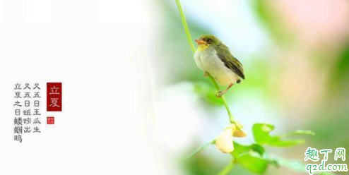 2021年什么时候立夏 2021年立夏是几点