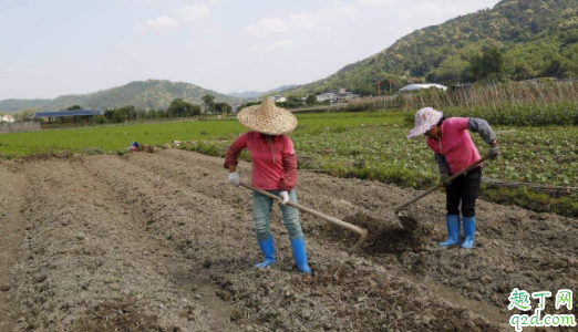 立夏之前都是春天吗 立夏一般在几月份