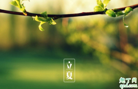 2021年立夏可以结婚吗 2021年立夏最不适合结婚的生肖