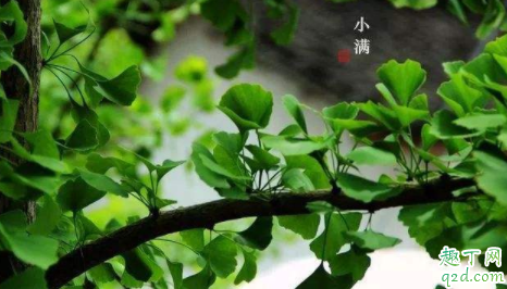 2021年小满节气搬家好吗 节气当天可以搬家吗